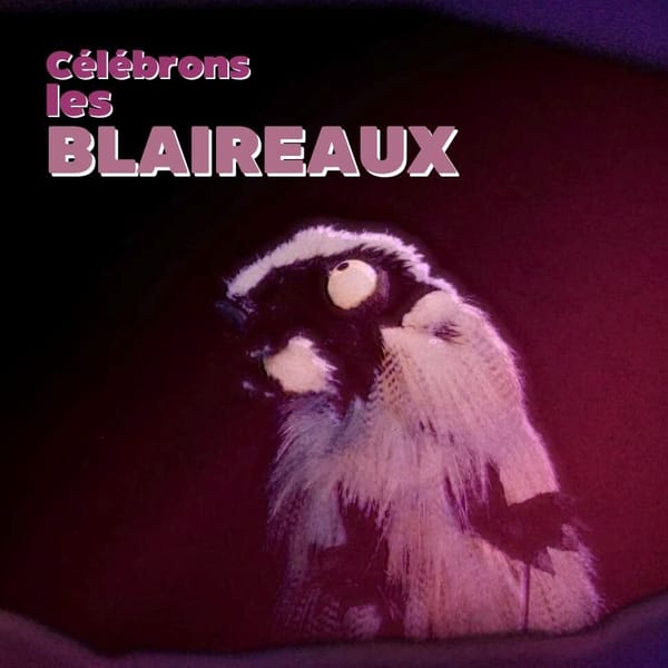 Découvrez les Secrets Fascinants des Blaireaux pour la Journée Mondiale des Blaireaux ! 🦡